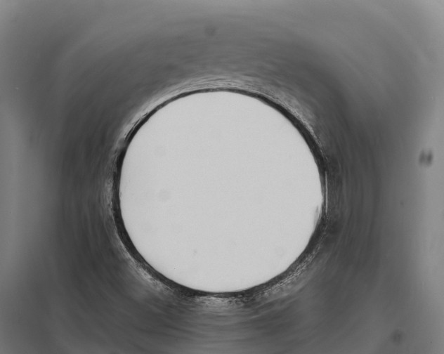 X0000097621500200803281024