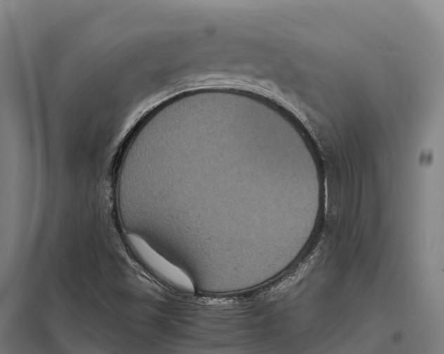 X0000097621501200803281024