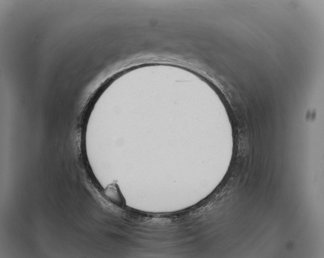 X0000097621503200803281024