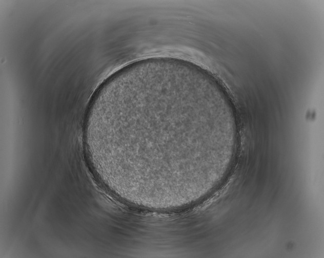 X0000097621505200803281024