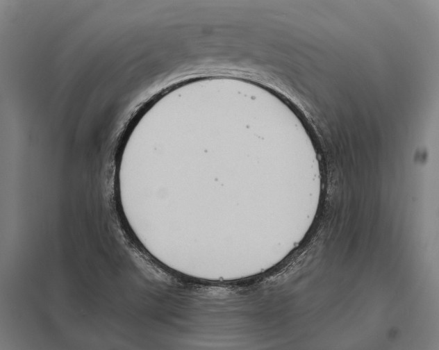 X0000097621507200803281024