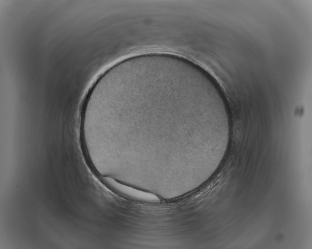X0000097621508200803281024