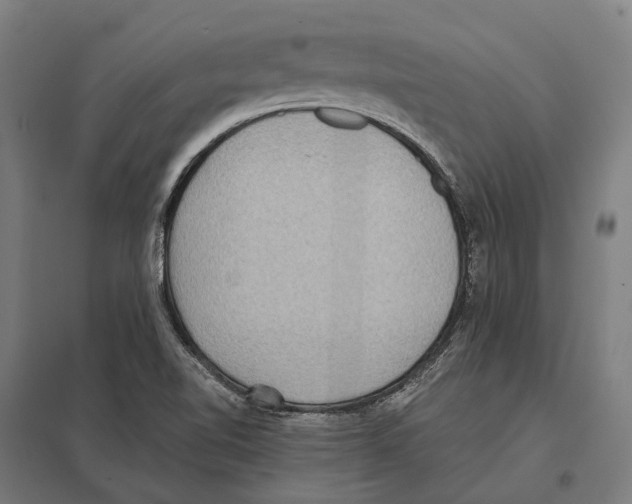 X0000097621510200803281024
