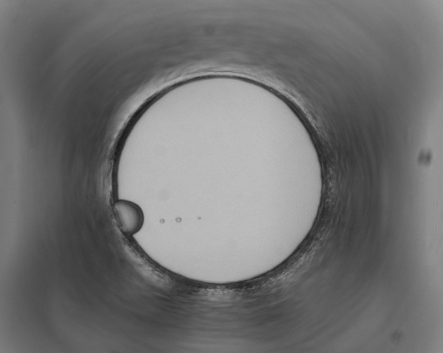 X0000097621511200803281025