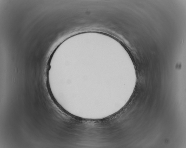 X0000097621512200803281025