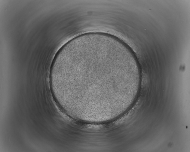 X0000097621513200803281025