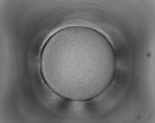 X0000097621514200803281025