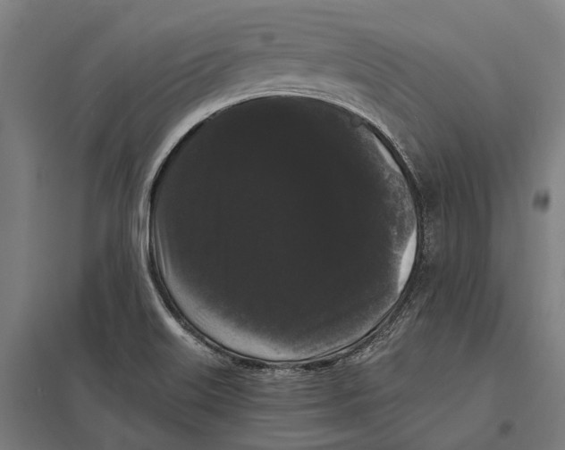 X0000097621515200803281025