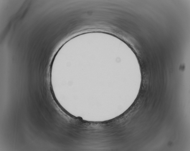 X0000097621516200803281025