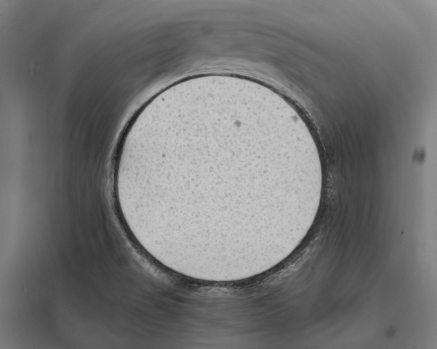 X0000097621517200803281025