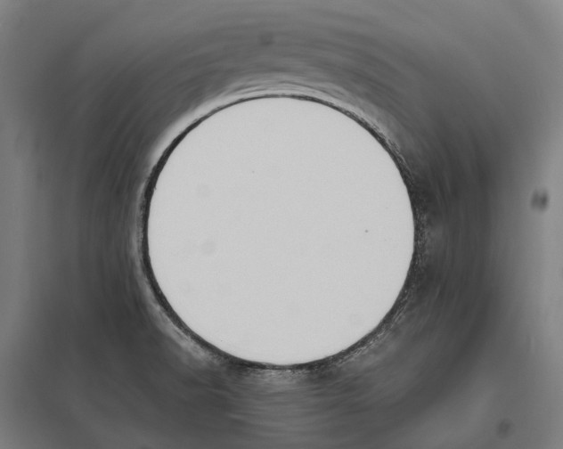 X0000097621518200803281025