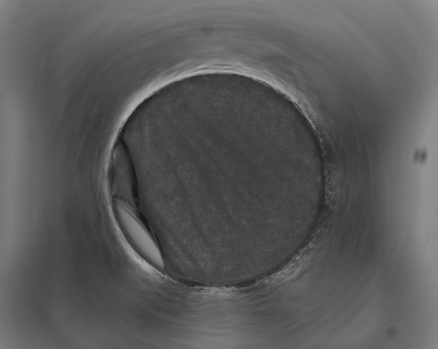X0000097621519200803281025