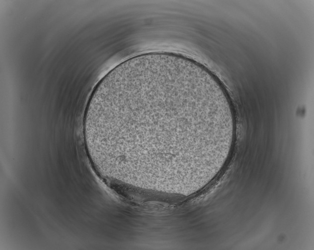 X0000097621521200803281025