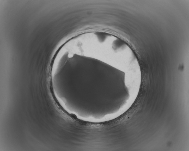 X0000097621522200803281025