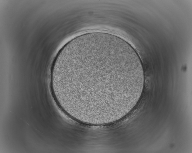 X0000097621523200803281025
