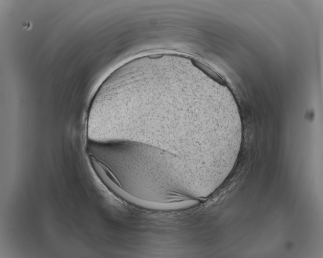 X0000097621524200803281025