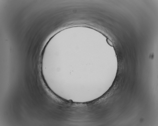 X0000097621526200803281025