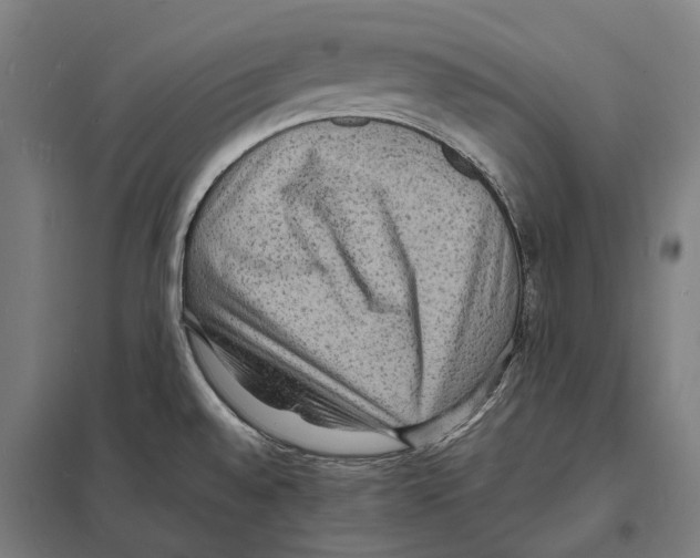X0000097621528200803281025