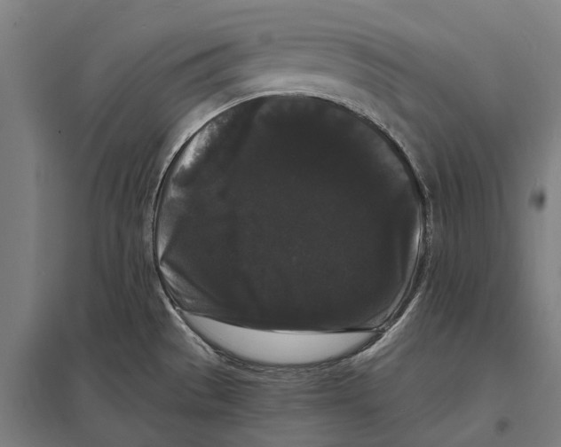 X0000097621529200803281025