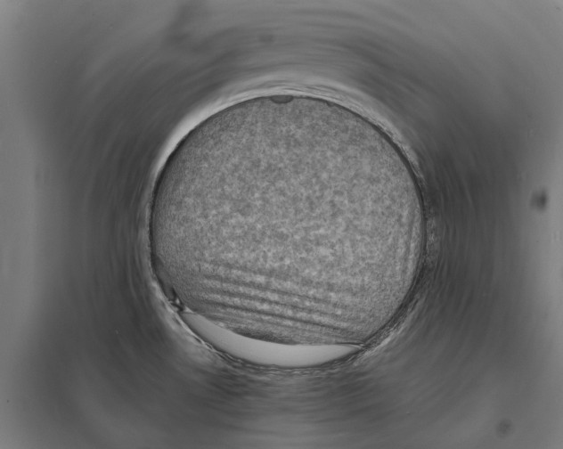 X0000097621530200803281025