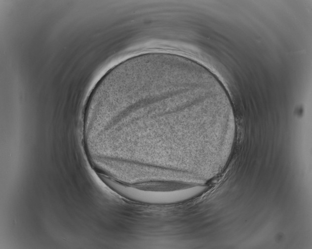 X0000097621531200803281025
