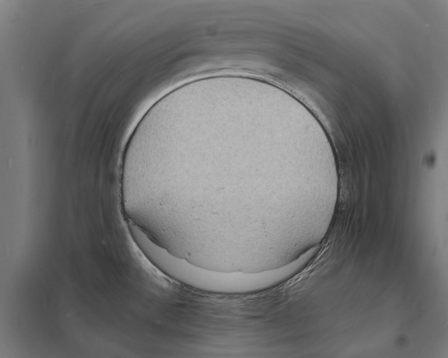 X0000097621532200803281025