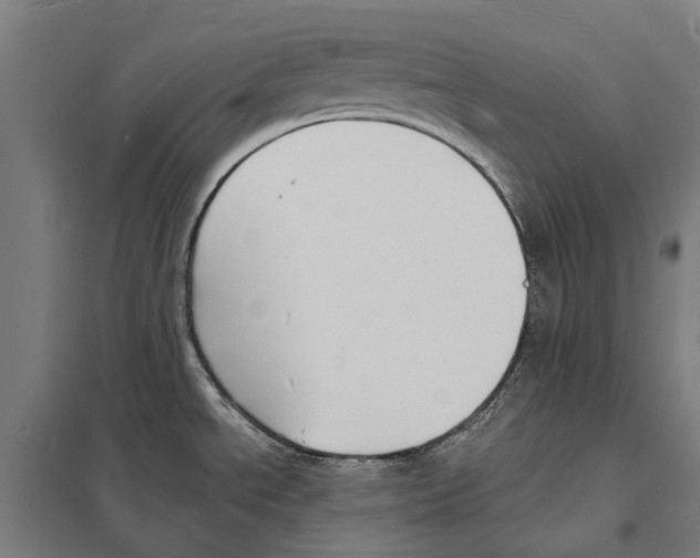 X0000097621534200803281025