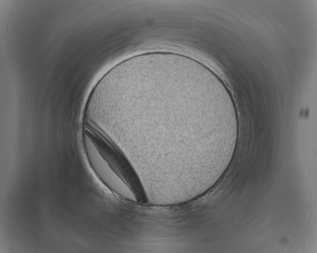 X0000097621536200803281025