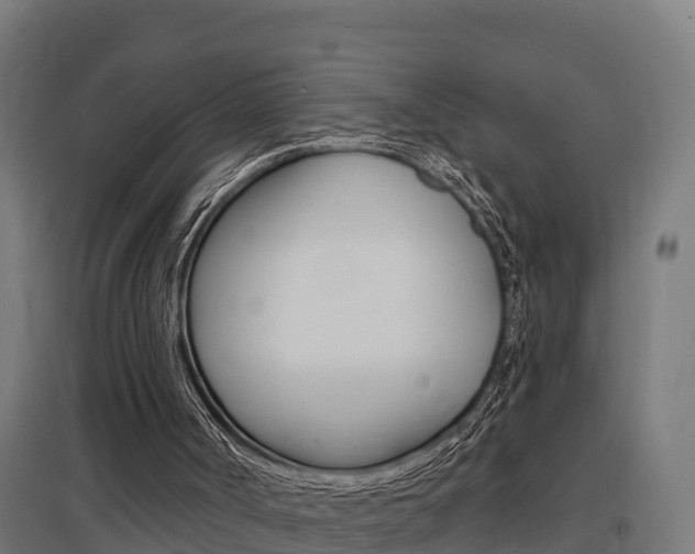 X0000097630002200802290855