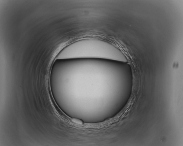 X0000097630003200802290855