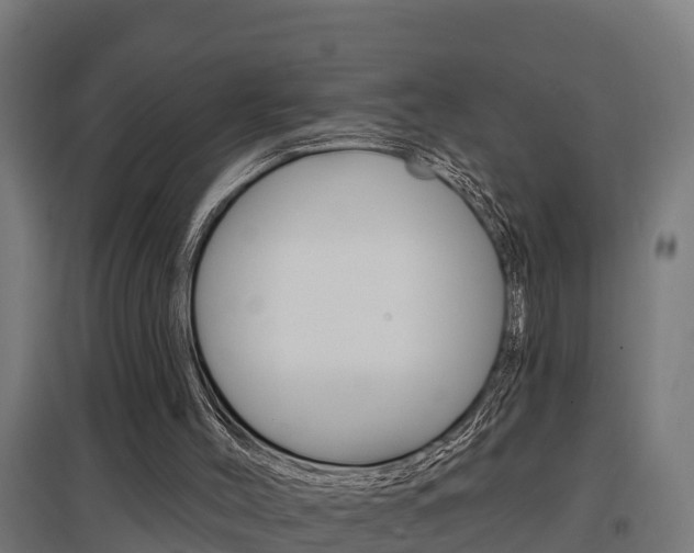 X0000097630004200802290855