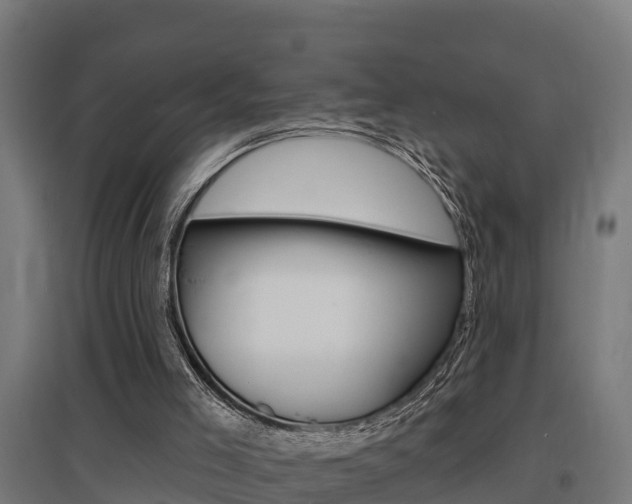 X0000097630005200802290855