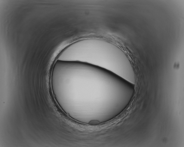X0000097630006200802290855
