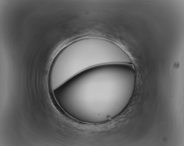 X0000097630007200802290855