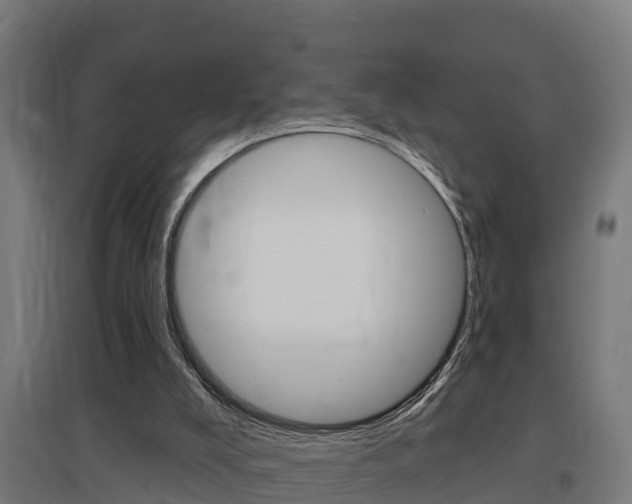 X0000097630008200802290855