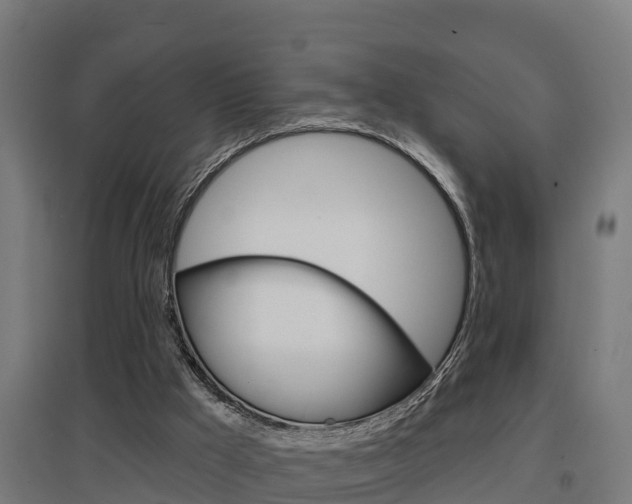 X0000097630009200802290855