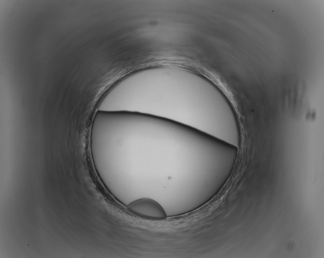 X0000097630010200802290855