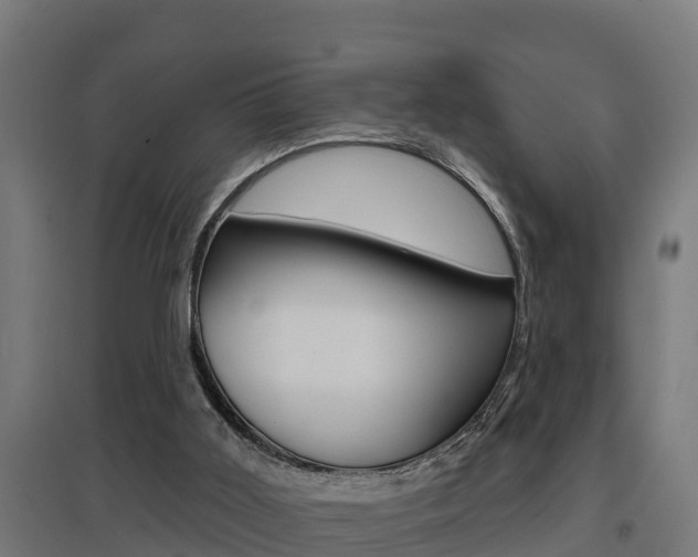 X0000097630011200802290855