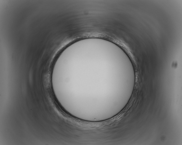 X0000097630012200802290855