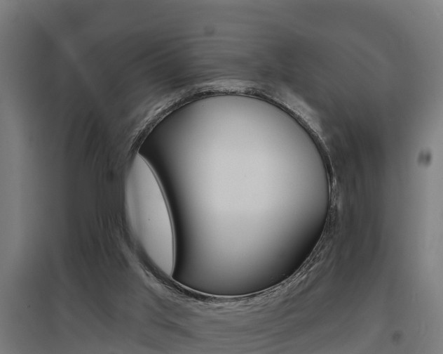 X0000097630013200802290855