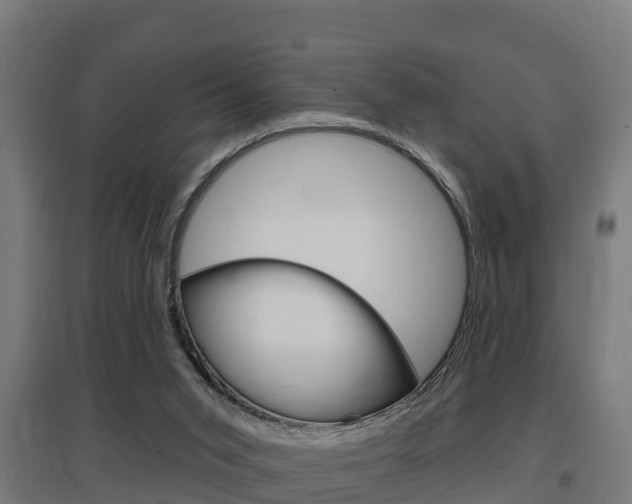 X0000097630015200802290855