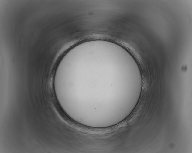 X0000097630016200802290855