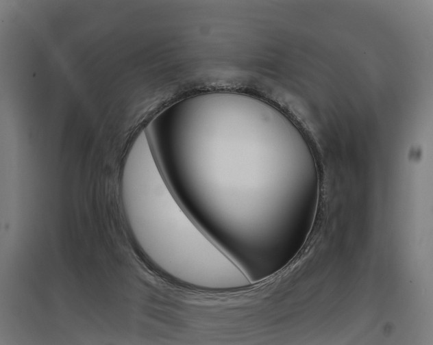 X0000097630017200802290855