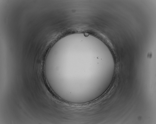 X0000097630018200802290855