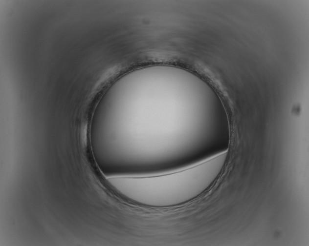 X0000097630019200802290855