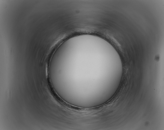 X0000097630020200802290855