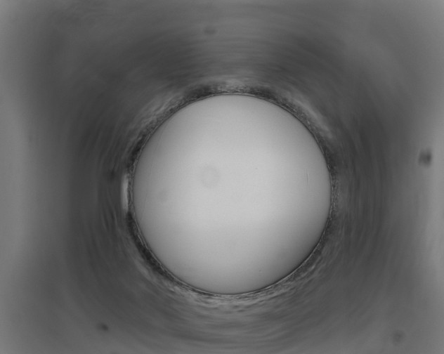 X0000097630022200802290855