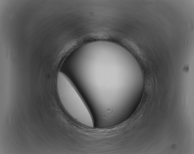 X0000097630023200802290855