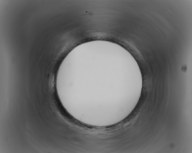 X0000097630024200802290855