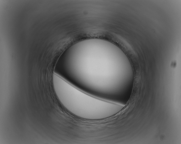 X0000097630025200802290855